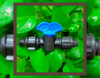 IMG_20260221_174631_737