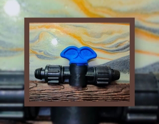 IMG_20260221_174632_836