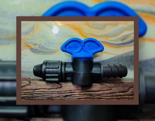 IMG_20260221_174635_246