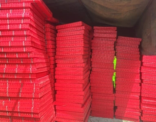 WhatsApp Image 2024-08-16 at 05.22.21 (2)