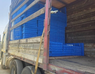 WhatsApp Image 2024-08-16 at 05.22.21 (3)