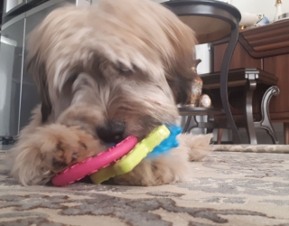 IMG_20260424_203232_406