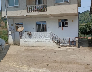 IMG_20260420_190656_767