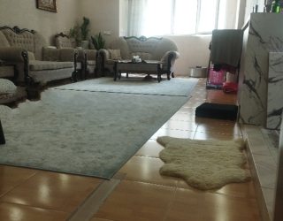 IMG_۲۰۲۶۰۲۱۴_۲۰۳۷۰۴