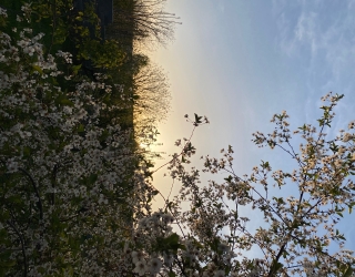 IMG_0854