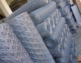 1000033798