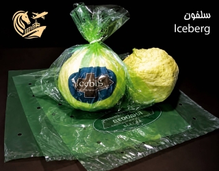 iceberg
