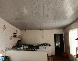 1000000919