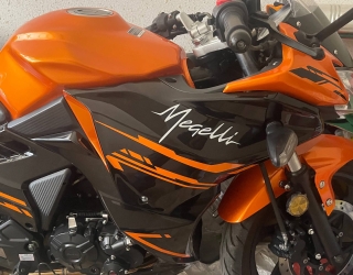 1000164267
