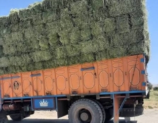 خوراک دام پرس یونجه گلپایگان