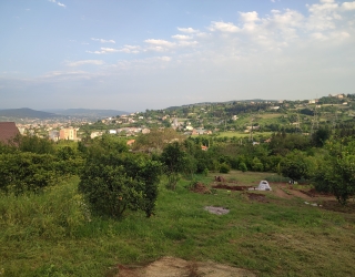 زمین 