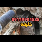 1004388458