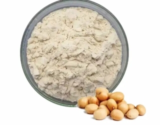ایزوله-سویا-ترک ایزوله پروتئین سویا وارداتی و مواد اولیه غذایی