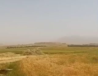 زمین کشاورزی فریدونشهر اصفهان