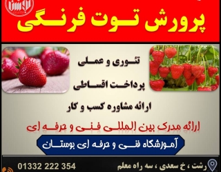 شروع دوره آموزشی پرورش توت فرنگی