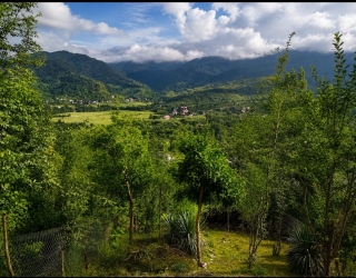 زمین مسکونی تو دل طبیعت