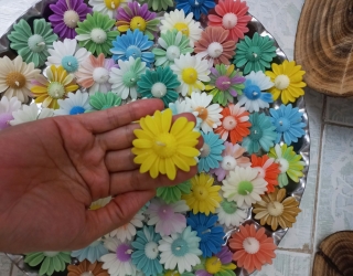 1000169008