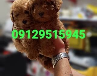 1000334887