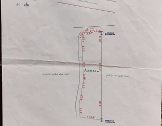 1000478557
