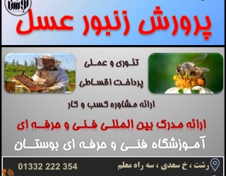 55577چیچیلاس شروع دوره آموزشی پرورش زنبور عسل