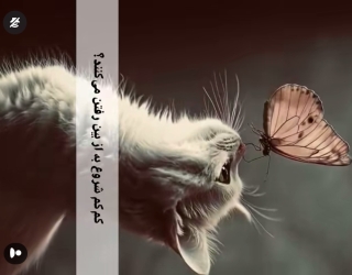 ماساژ 