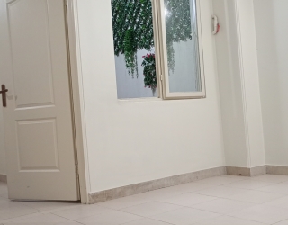 1000503365
