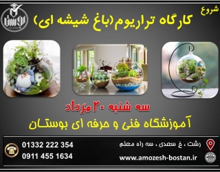 شروع کارگاه آموزشی تولید تراریوم باغ شیشه ای