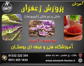 شروع کارگاه آموزشی زعفران