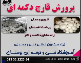 شروع دوره آموزشی پرورش قارچ دکمه ای با ارائه مدرک فنی و حرفه ای 