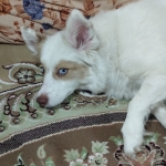 IMG-20250119-WA0003