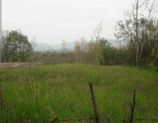 زمین روستایی فروشی 