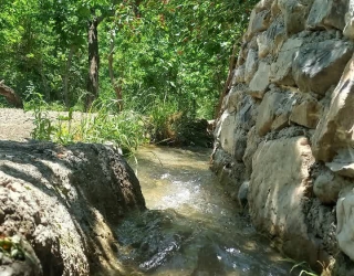 تور یک روزه بوژان نیشابور همراه با دیجی 