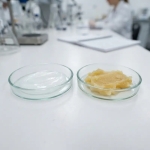 usp-vs-industrial-grade-petroleum-jelly-comparison-b2b.webp