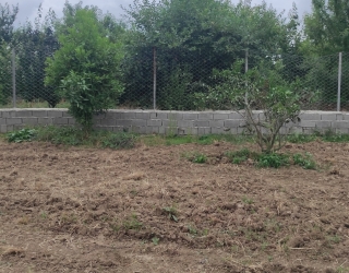 IMG_۲۰۲۵۰۶۰۴_۱۶۲۷۴۸ فروش زمین