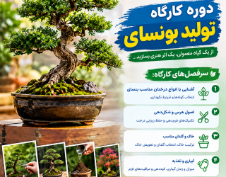 ChatGPT Image Sep 6, 2026, 04_38_06 PM شروع کارگاه تولید بونسای