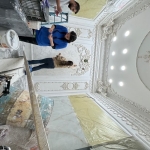 photo29654494267