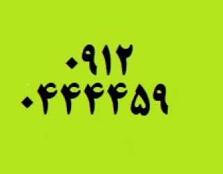 09120444459