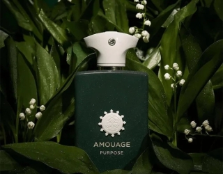 خرید ادکلن امواج پرپس با بهترین قیمت - عطر وزیری