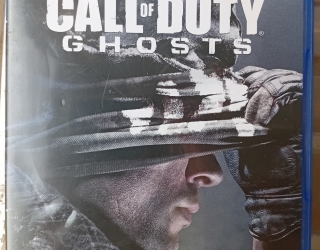 1000039308 بازی ps4 کال اف دوتی گوست
