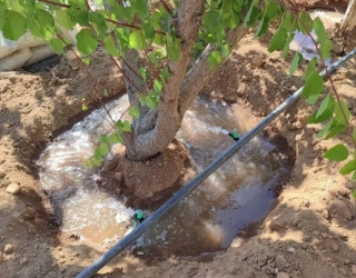 1000056153 اتصالات آبیاری قطره ای