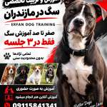 file_0000000037e481f4bad8a2d46a8ca6eb