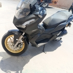 1000066241