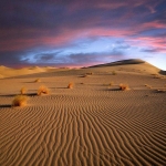ابوزیدآباد