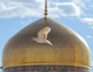 تور مشهد / تور ریلی / بلیط قطار