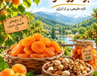 آجیل و خشکبار ممتاز( حسینی )