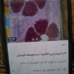 1000061857