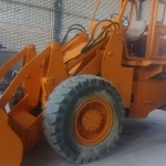 photo28174212554
