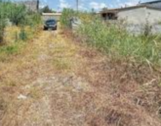 فروش زمین مسکونی در مازندران بهشهر روستای رکاوند 