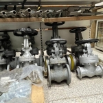 IMG-20251125-WA0010