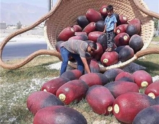 المان نوروزی فایبرگلاس